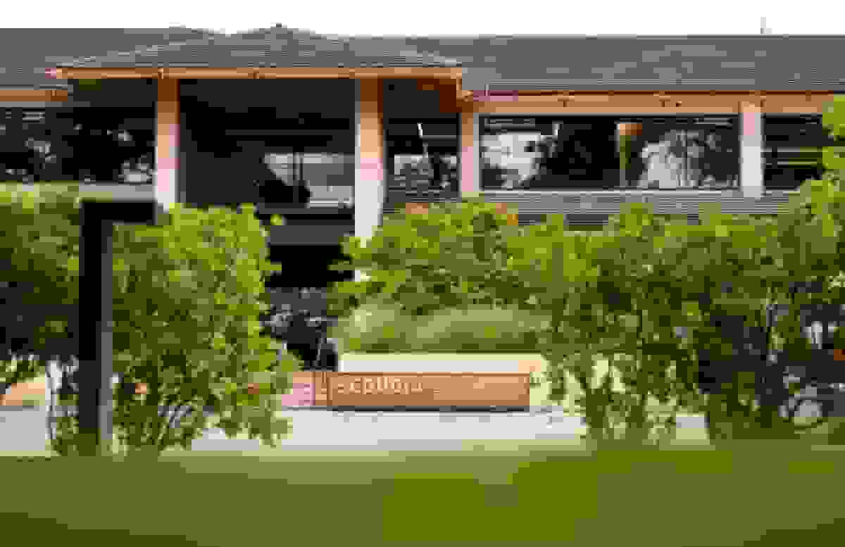 طرح‌های جدید سکویا کاپیتال: تمرکز بیشتر بر هوش مصنوعی و کاهش گرایش‌های سیاسی