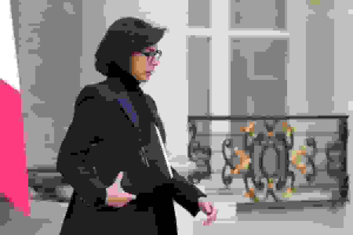 وزیر فرهنگ فرانسه هدف بازرسی‌های فساد