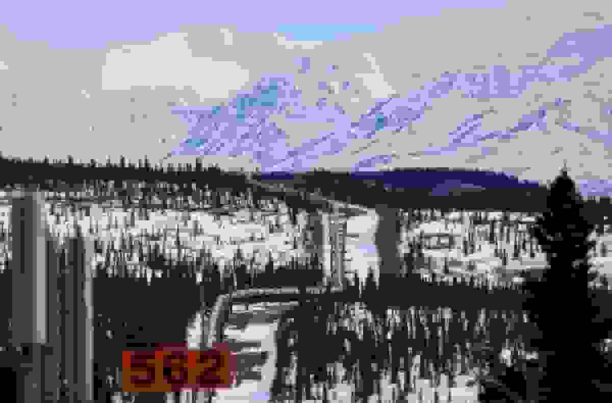 ترامپ محدودیت‌های حفاری نفت را در میلیون‌ها هکتار از قطب شمال لغو کرد