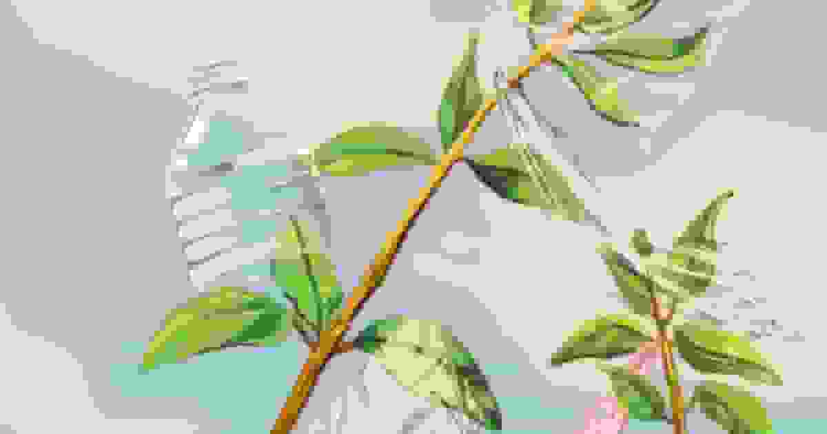 راز کثیف پلاستیک‌های زیست‌تخریب‌پذیر