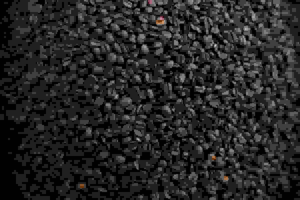 ترامپ تعرفه‌های واردات قهوه و گوشت برزیل را کاهش می‌دهد