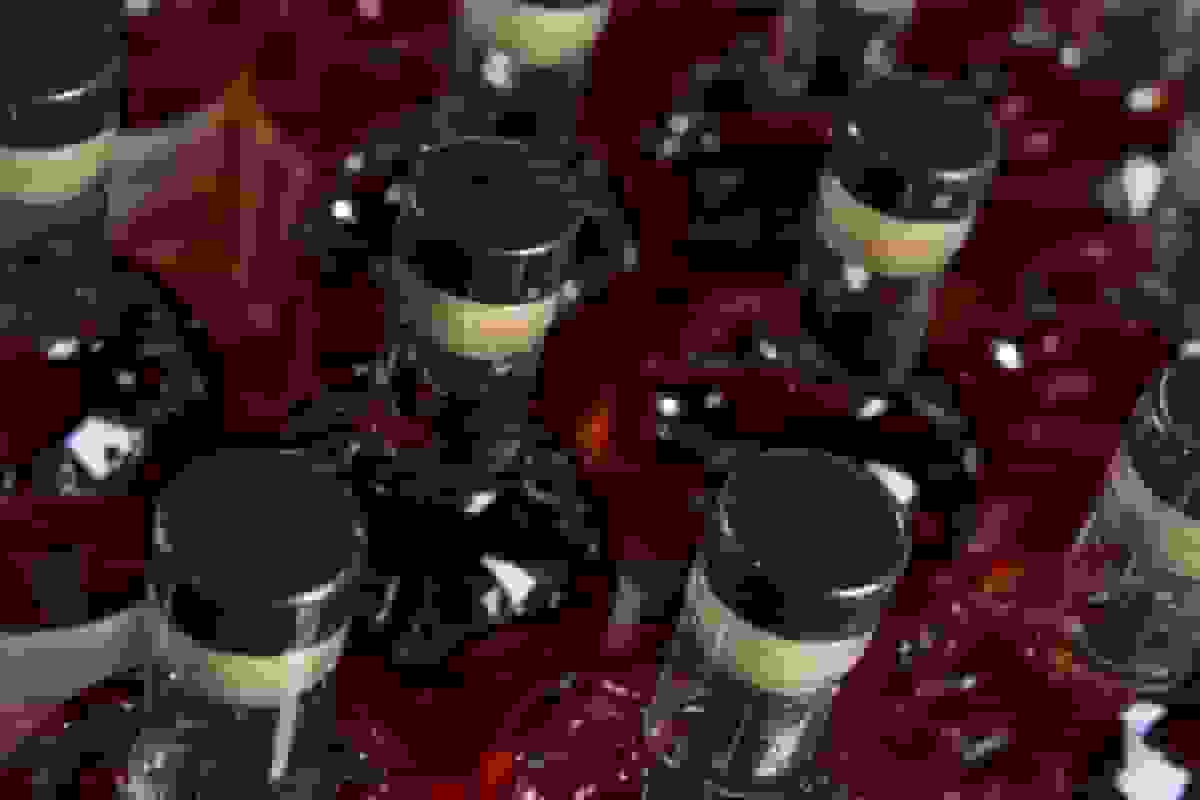 مقصر تعطیلی دولت آمریکا برای از دست دادن جدیدترین آبجوها و مشروبات الکلی فصلی