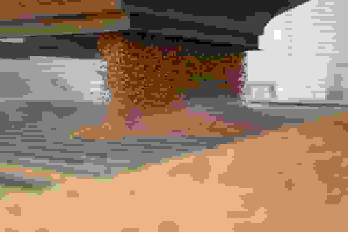 چین تعرفه‌های محصولات کشاورزی آمریکا را پس از کاهش تعرفه‌های فنتانیل متوقف کرد