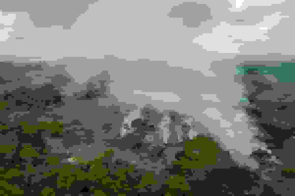 برزیل کاهش ۱۱.۱ درصدی جنگل‌زدایی در آمازون را گزارش کرد