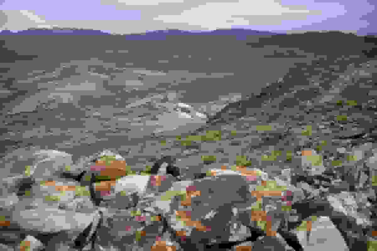 آرژانتین: گهواره شراب مالِبک به استخراج مس گرما می‌دهد