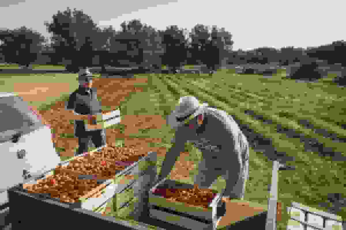 ایتالیا قصد دارد از توافقنامه تجارت آزاد مرکوسور حمایت کند