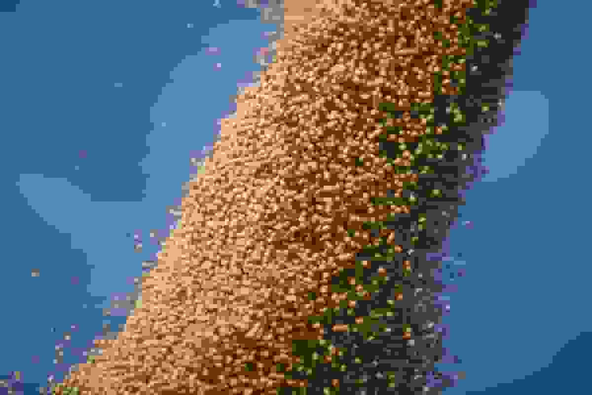 چین همچنان می‌تواند به تعهد خرید سویای آمریکا عمل کند، به گفته تاجران