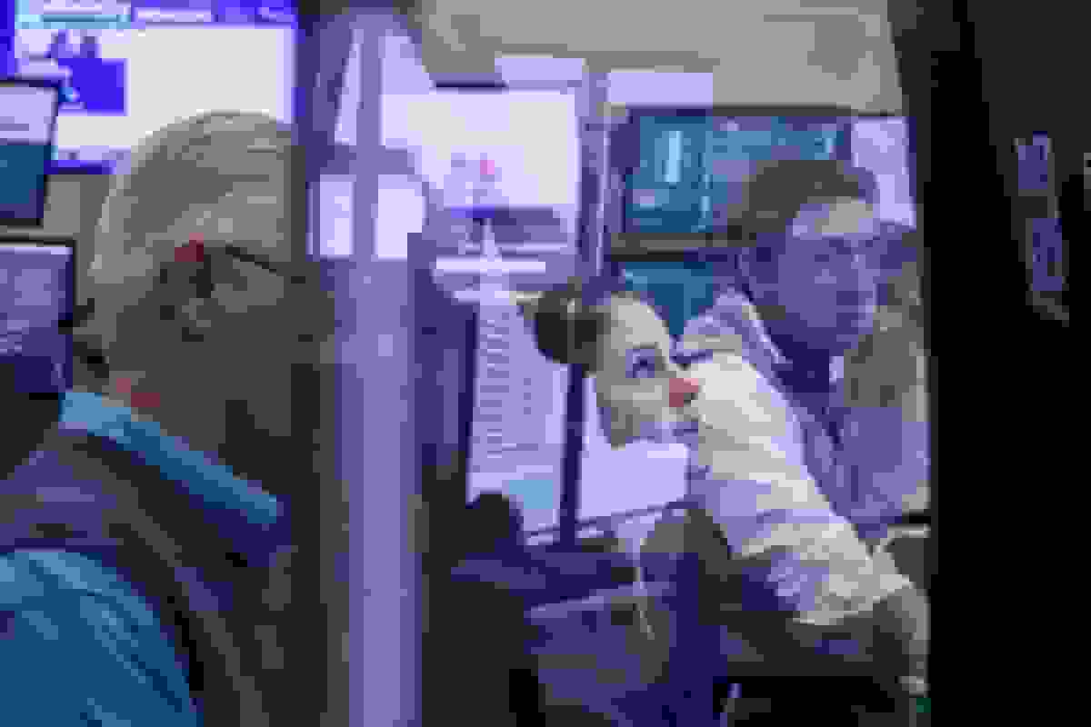 افت شاخص‌های سهام وال‌استریت در انتظار تصمیم فدرال رزرو و سخنرانی جروم پاول