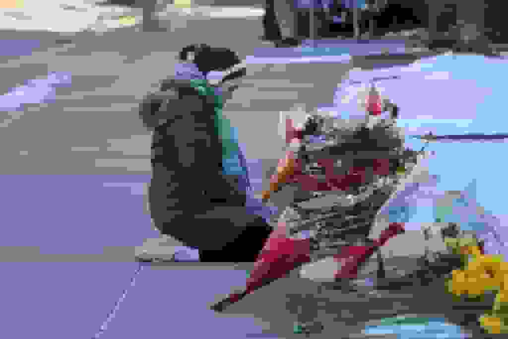 ما نمی‌توانیم از پایان دادن به تیراندازی‌های مدارس دست بکشیم