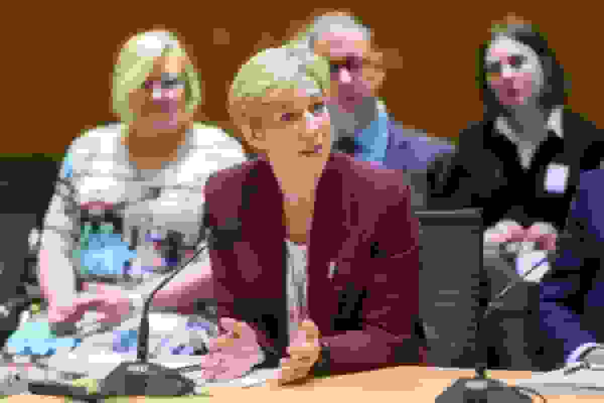 برمن: اصلاحات شفافیت باید متناسب با نیوزیلند باشد