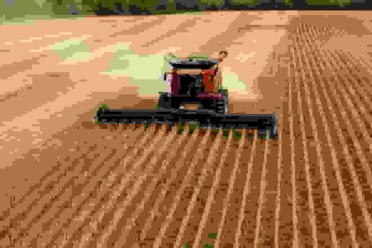 نگرانی کشاورز نسل پنجم آمریکایی درباره طرح کمک مالی ترامپ: “حتی یک چسب زخم هم نیست”