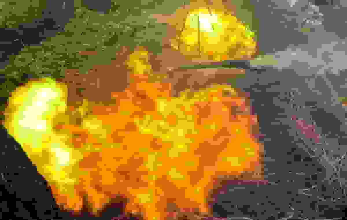 ارتش روسیه دو منطقه در اوکراین را آزاد کرد