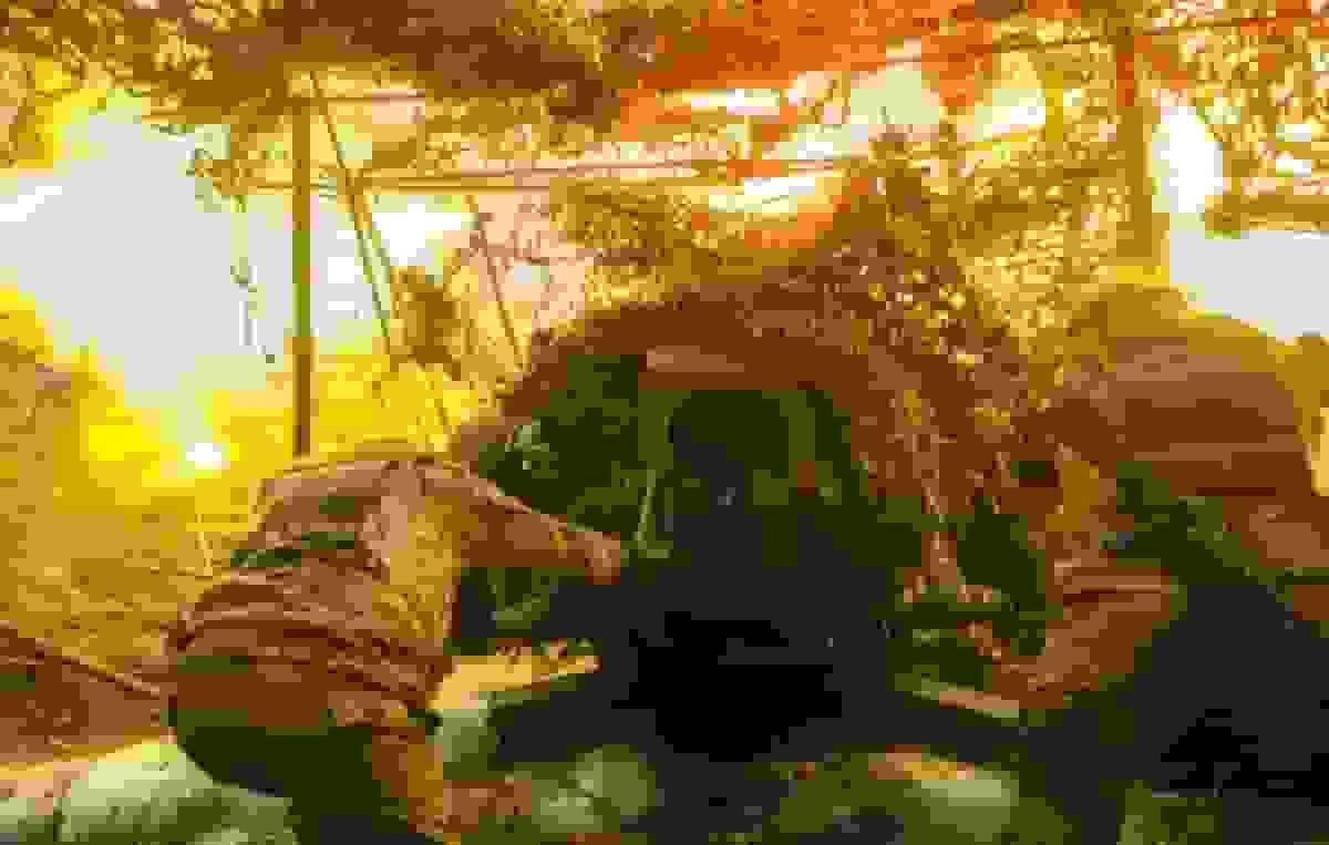 ارتش روسیه ۸ منطقه در اوکراین را طی یک هفته آزاد کرد