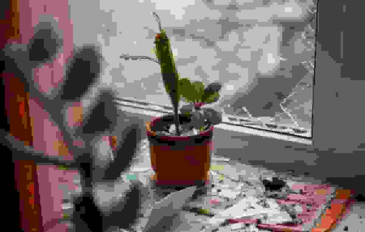 حمله ۱۳۶ پهپاد اوکراینی به مناطق روسیه؛ خسارت به خانه‌ها و خودروها گزارش شده است