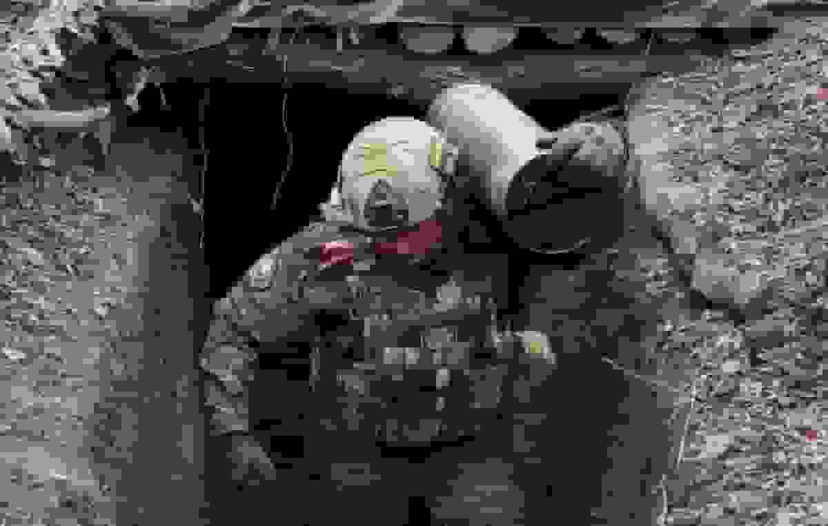 ارتش روسیه منطقه زارچنوی در استان زاپوروژیه را آزاد کرد