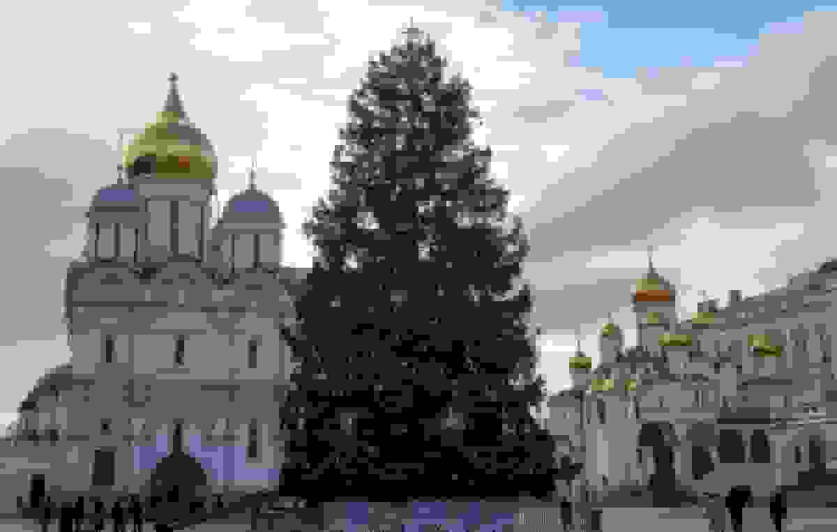 درخت کریسمس صدساله کاخ کرملین: آغاز جادوی سال نو روسیه