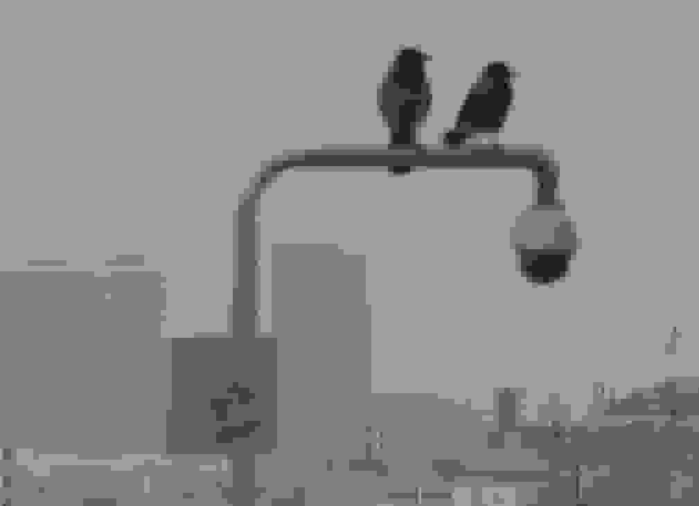 وضعیت آب و هوا امروز ۱ دی ۱۴۰۴؛ بازگشت آلودگی هوا به شهرهای صنعتی