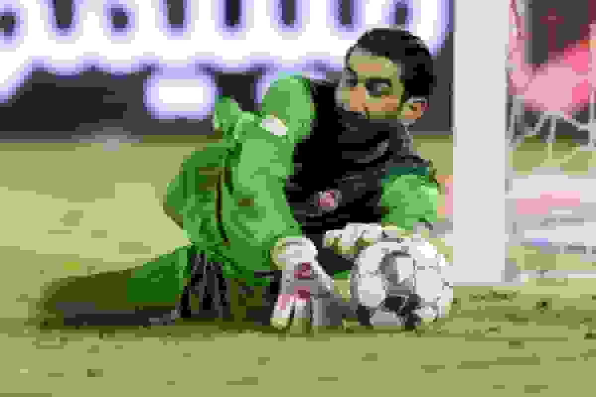 پالس جدید؛ علیرضا بیرانوند پیگیر پنجره استقلال