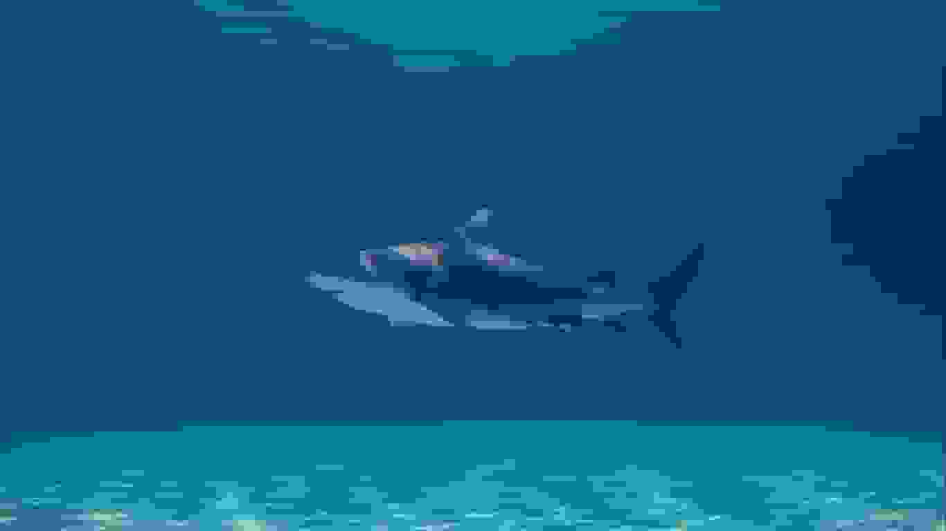 تحلیل موج اخیر حملات کوسهها: آیا تغییرات اقلیمی مقصر است؟