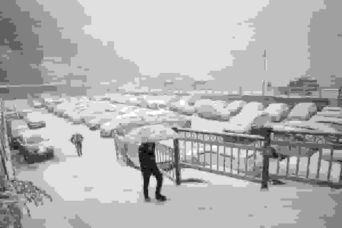 پیش‌بینی بارش باران و برف در تهران از ظهر شنبه تا دوشنبه