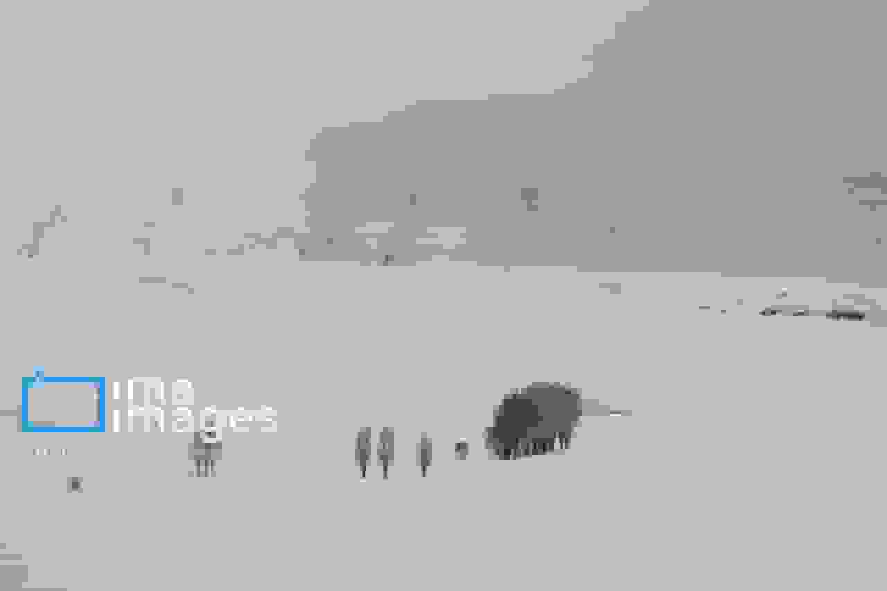 تصاویر: بارش شدید برف در کوهرنگ