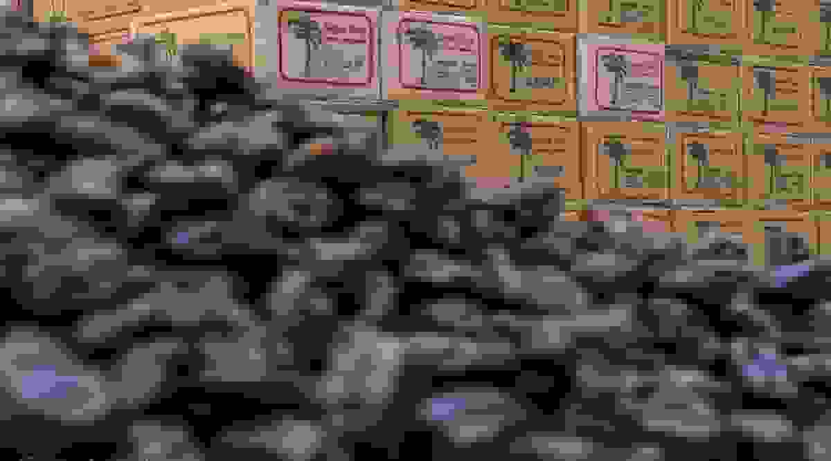 قیمت خرمای مضافتی در ماه رمضان ۳۱۰ هزار تومان اعلام شد