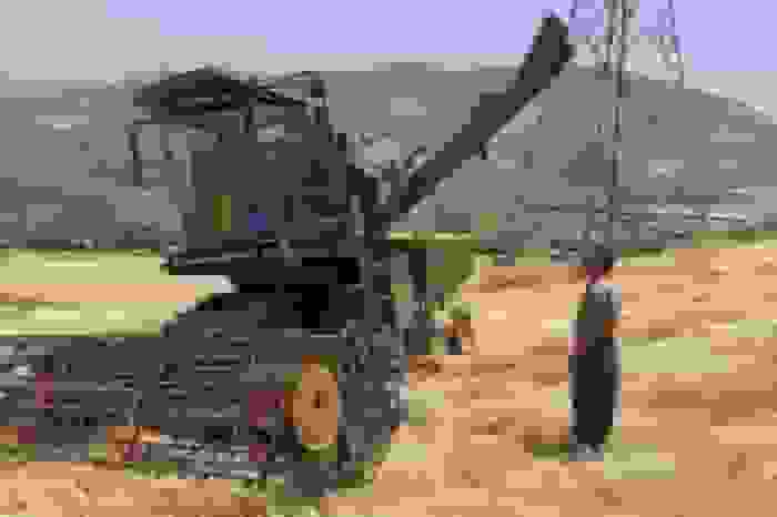 پزشکیان: قیمت خرید گندم غیر منطقی است و به زودی اصلاح می‌شود