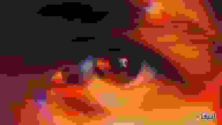 آیا کروموزوم Y در حال ناپدید شدن است؟