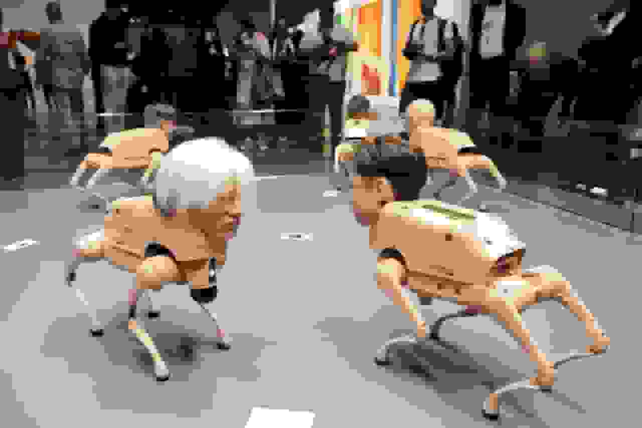 غافلگیری در نمایشگاه میامی: سگ‌های رباتیک با چهره چهره‌های مشهور