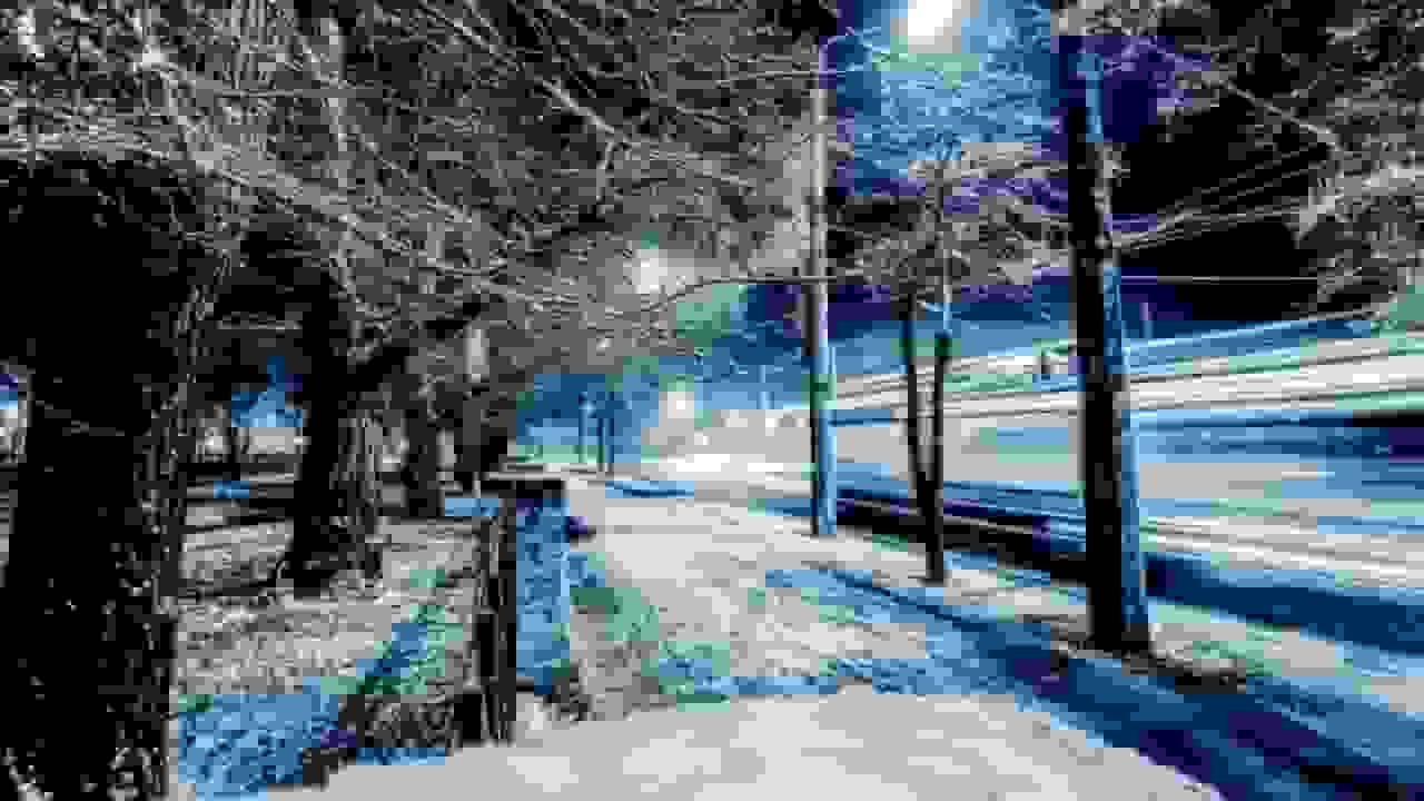 احتمال سرمای قطبی؛ آیا زمستان قرن در راه است؟