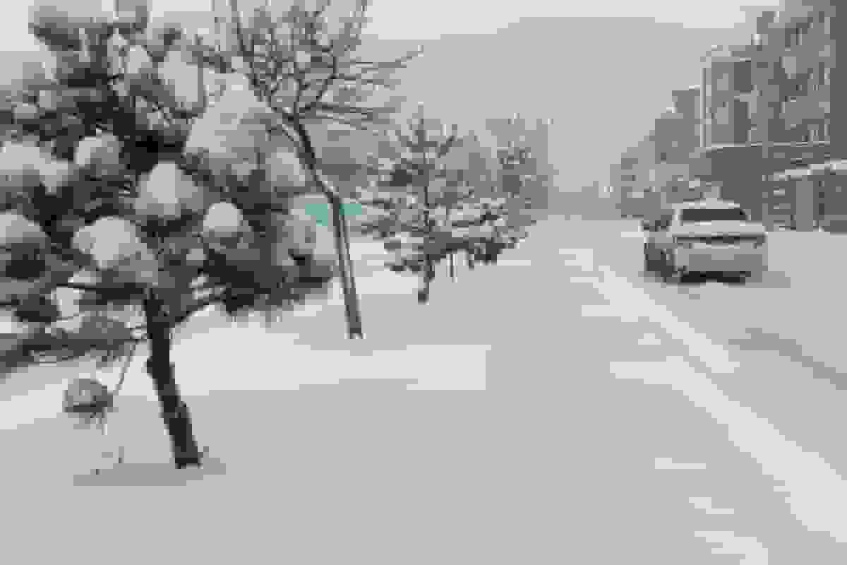 بارش برف در ایستگاه دوم توچال