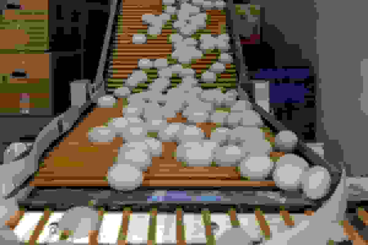 افزایش بی‌سابقه قیمت تخم‌مرغ به ۲۴۵ هزار تومان در بازار کالاهای اساسی