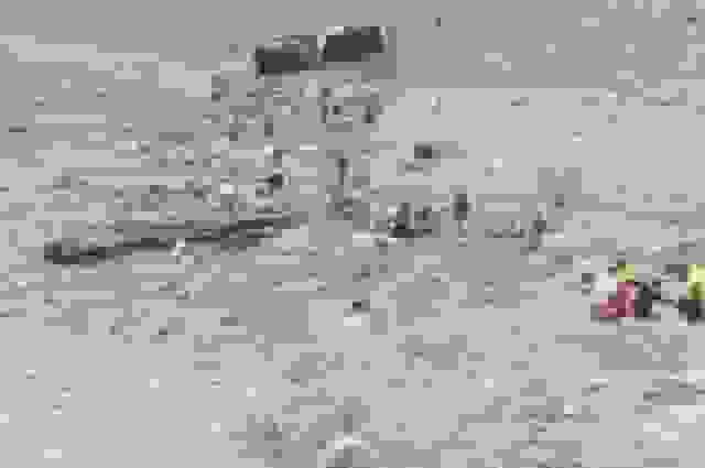 راننده اتوبوس واژگون شده تهران-یاسوج زنده پیدا شد