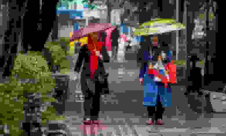 باد و باران در نقاط مختلف تهران