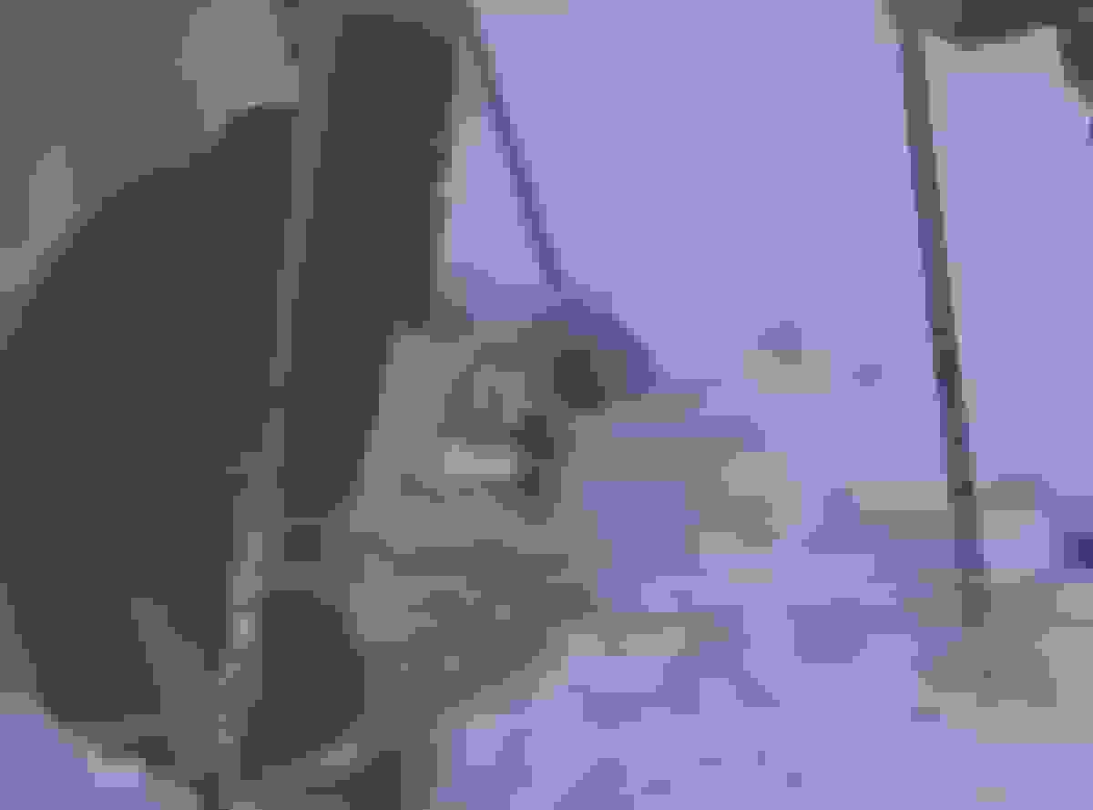 برف یک‌متری در رابر کرمان و گرفتار شدن گوسفندان