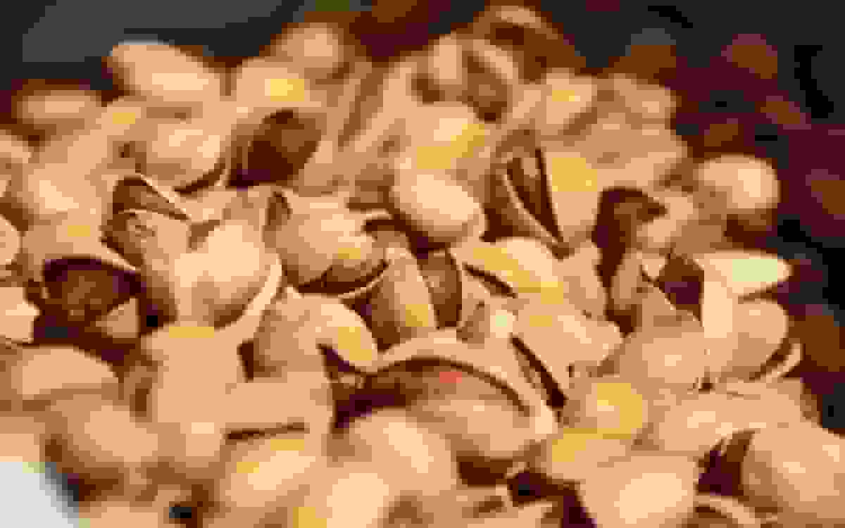 افزایش قیمت آجیل شب یلدا به دلیل جهش دلار؛ حداکثر قیمت ۱٫۳ میلیون تومان