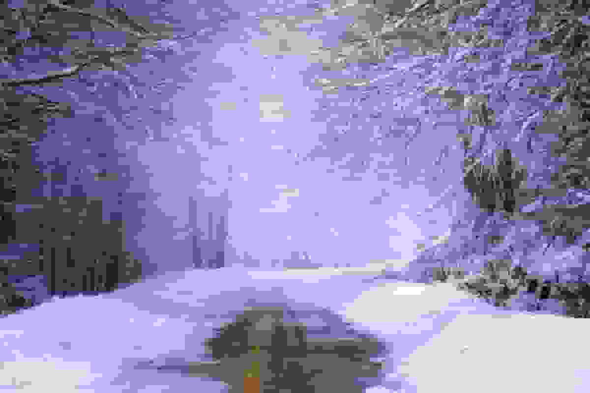 بارش برف شدید در شهرستان فریمان