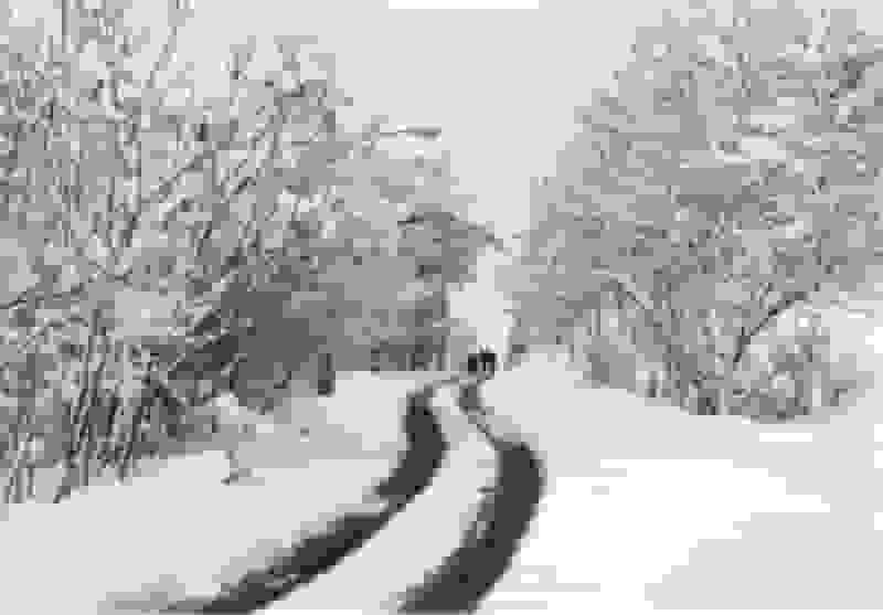 بارش برف در شهرستان راور کرمان