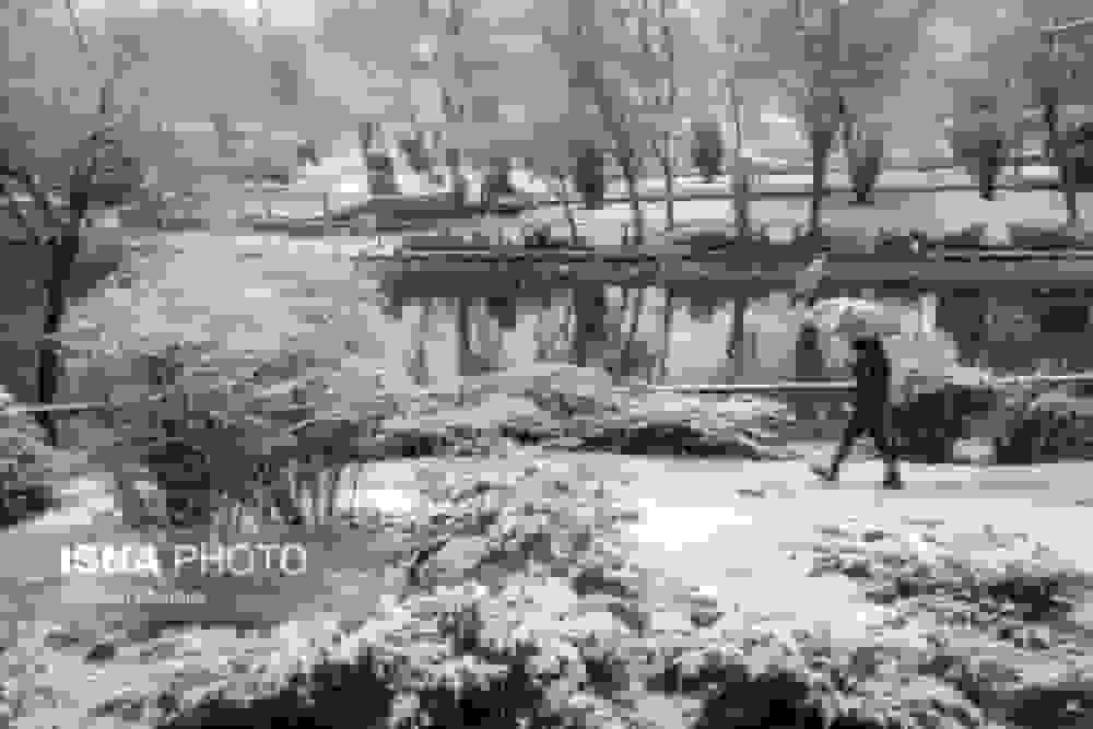 بارش شدید برف در مشهد