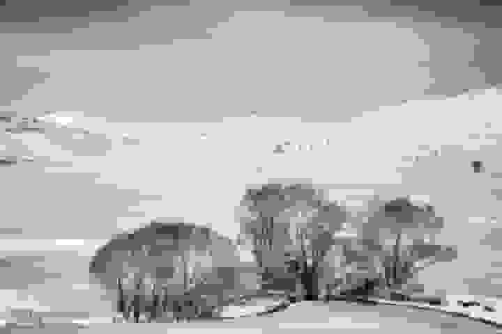 قلب کویر ایران برای اولین بار سفیدپوش شد