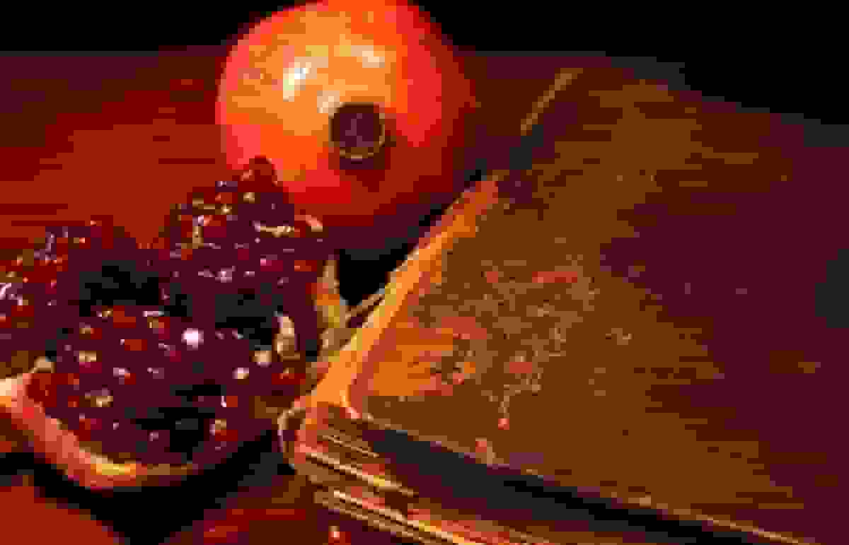 حافظ‌خوانی سفیر ژاپن به مناسبت شب یلدا