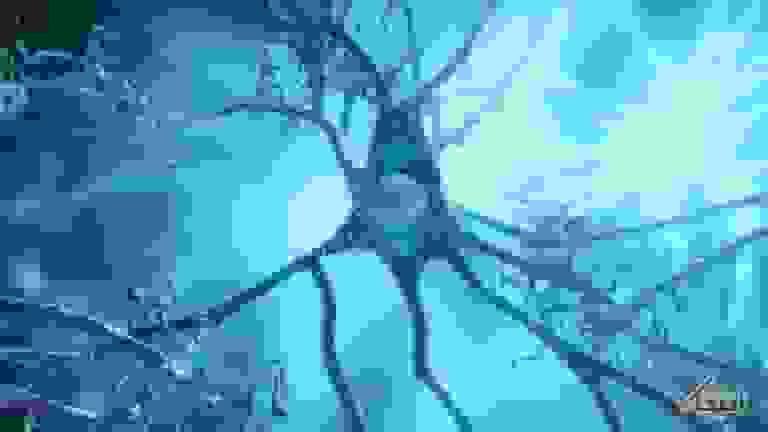 مکمل فشار خون نشانه‌های آلزایمر را در موش‌ها پاک کرد