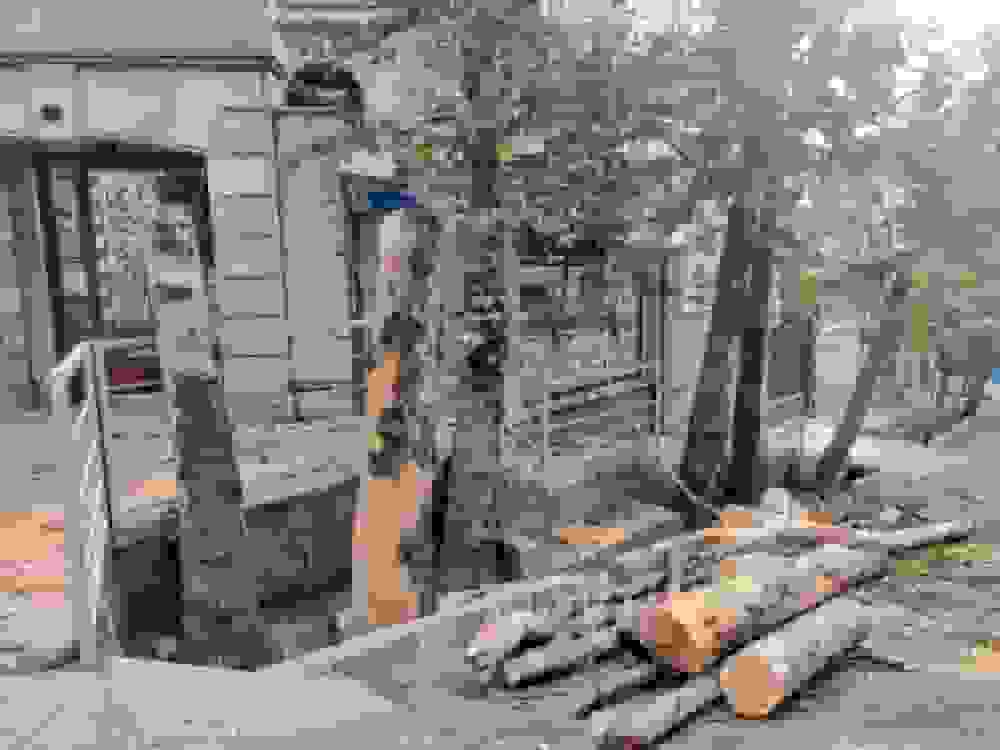 قطع چنارهای تنومند محله باغ فردوس تهران توسط شهرداری