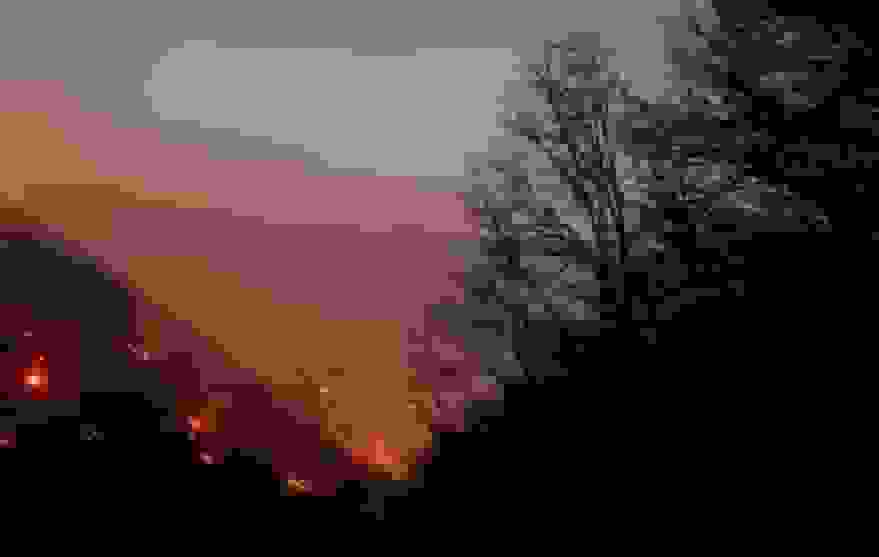 دستگیری عامل آتش‌سوزی در جنگل‌های هیرکانی بابل برای تهیه پایه‌های چوبی