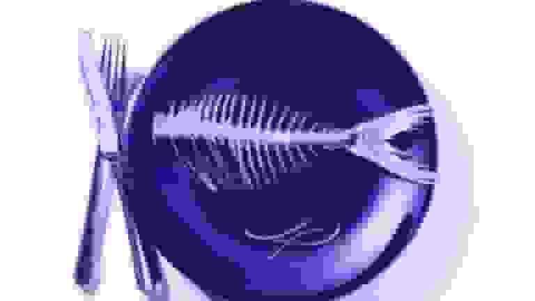 بلعیدن استخوان ماهی فقط خطر خفگی ندارد؛ خطرهای پنهان دیگری هم دارد