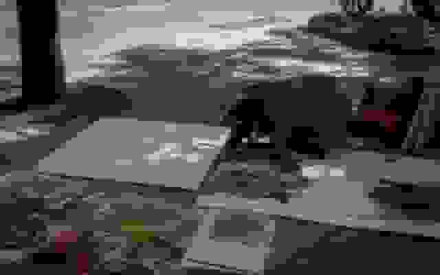 ۵ تکنیک ضروری تست دستی که هر تستری باید بداند