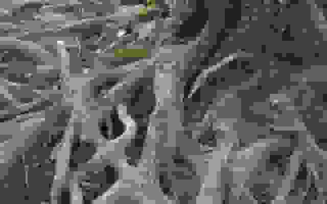 استفاده از مدل‌های زبانی بزرگ برای خودکارسازی تحلیل ریشه‌ای در پاسخ به حوادث