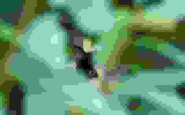 مکان‌های پنهان داده‌های تاریخ‌خورده در معماری سیستم‌ها (و نحوه شناسایی آن‌ها)