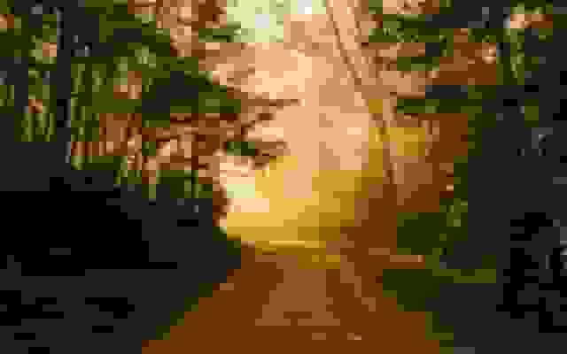 معماری جنگو در مقابل FastAPI: مسیر یادگیری