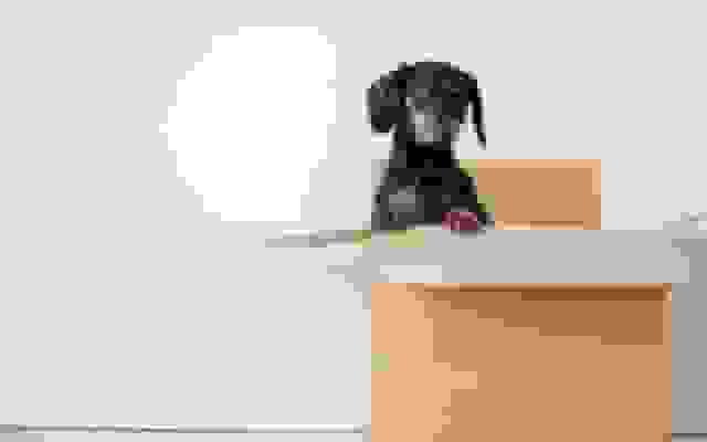 اتوماسیون گردش کار اکسل در Box با استفاده از پایتون، Box SDK و OpenPyXL